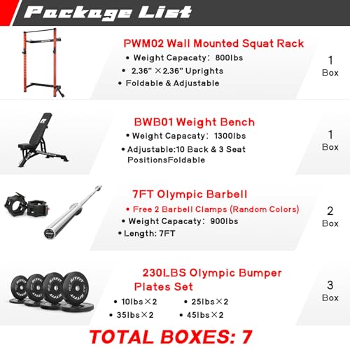 2.36'' x 2.36'' Wall Mounted Folding Squat Rack M237