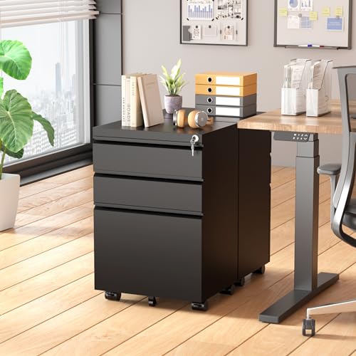 Black 2 Drawer Locking Metal File Cabinet A658
