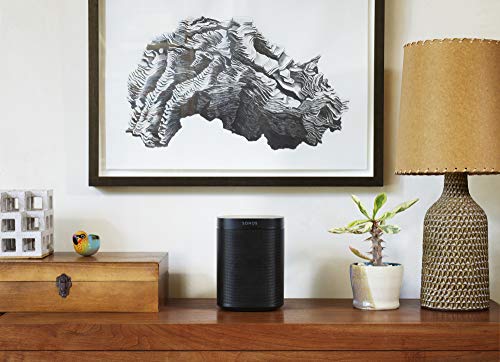 Black Smart Speaker F279305