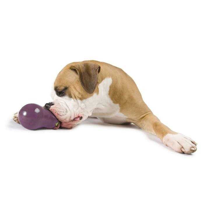 Dog Toy C31607