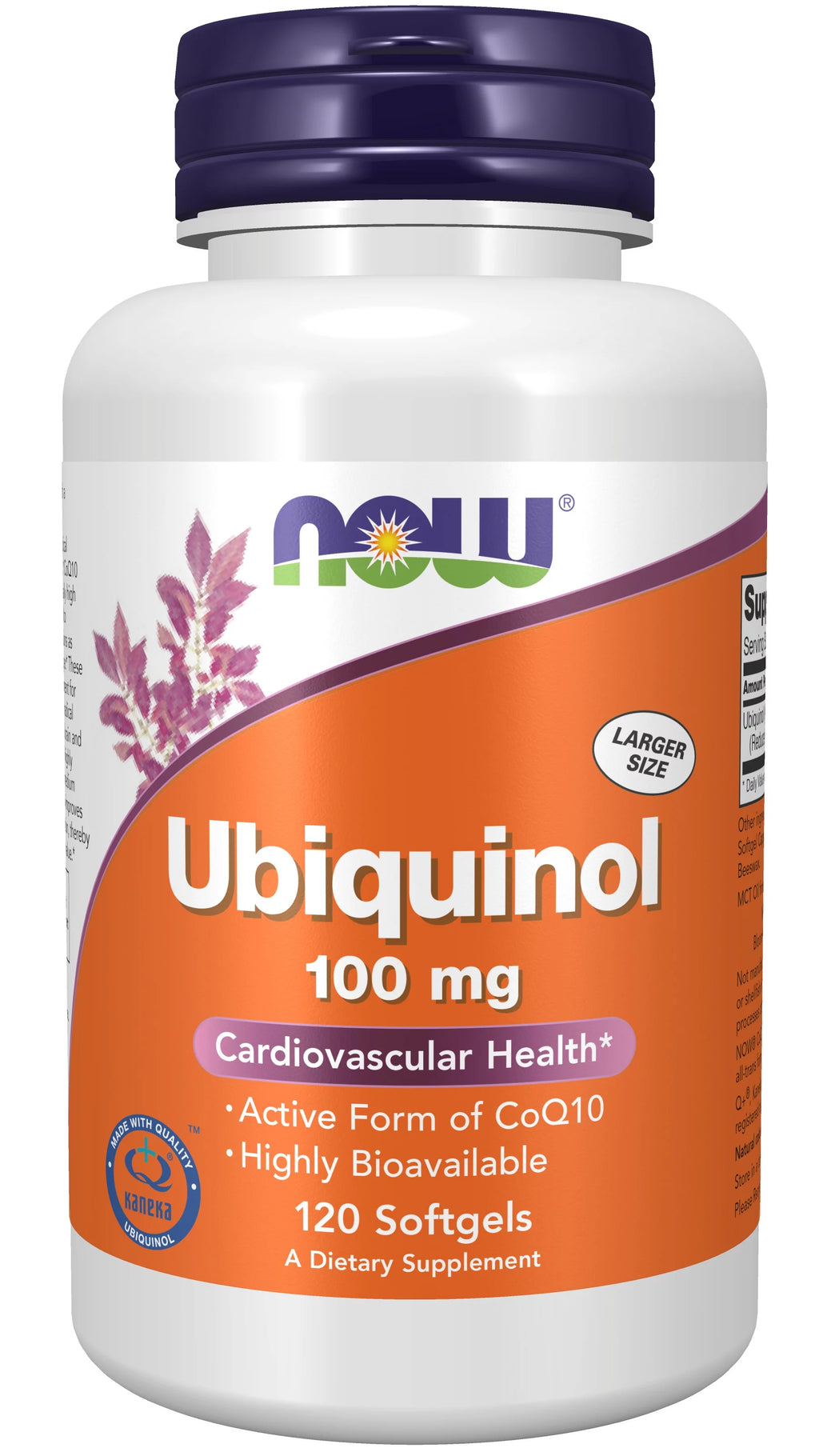 Ubiquinol 100 mg 120 Softgels D309232