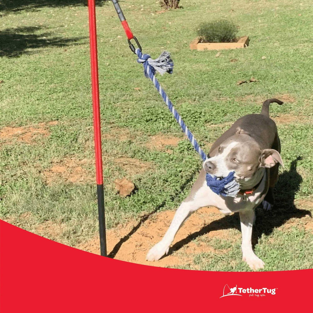 Dog Toy I4738