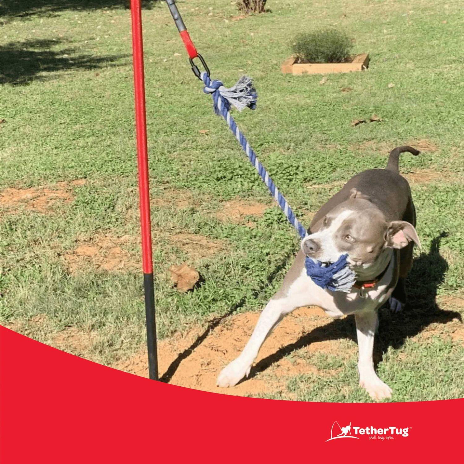Dog Toy I4738