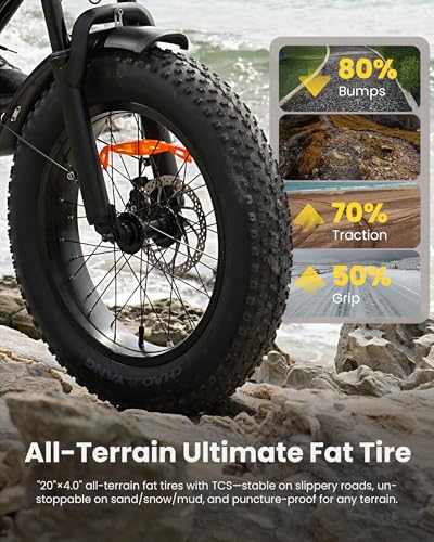 20" Fat Tire Electric Bike C8767