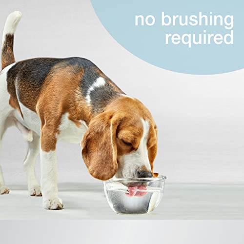 32 oz Dog Water Additive P327807