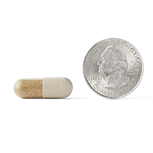 Brain Supplement 30 Capsules C40255