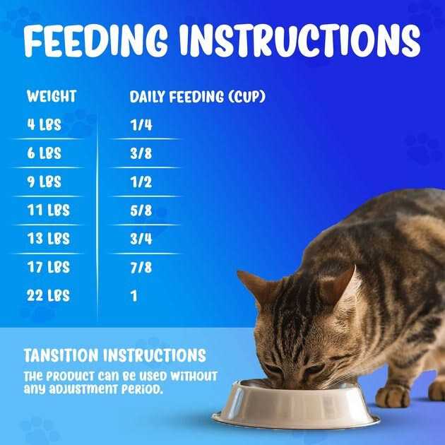 Active Kidney Renal Support Diet Dry Cat Food B3803