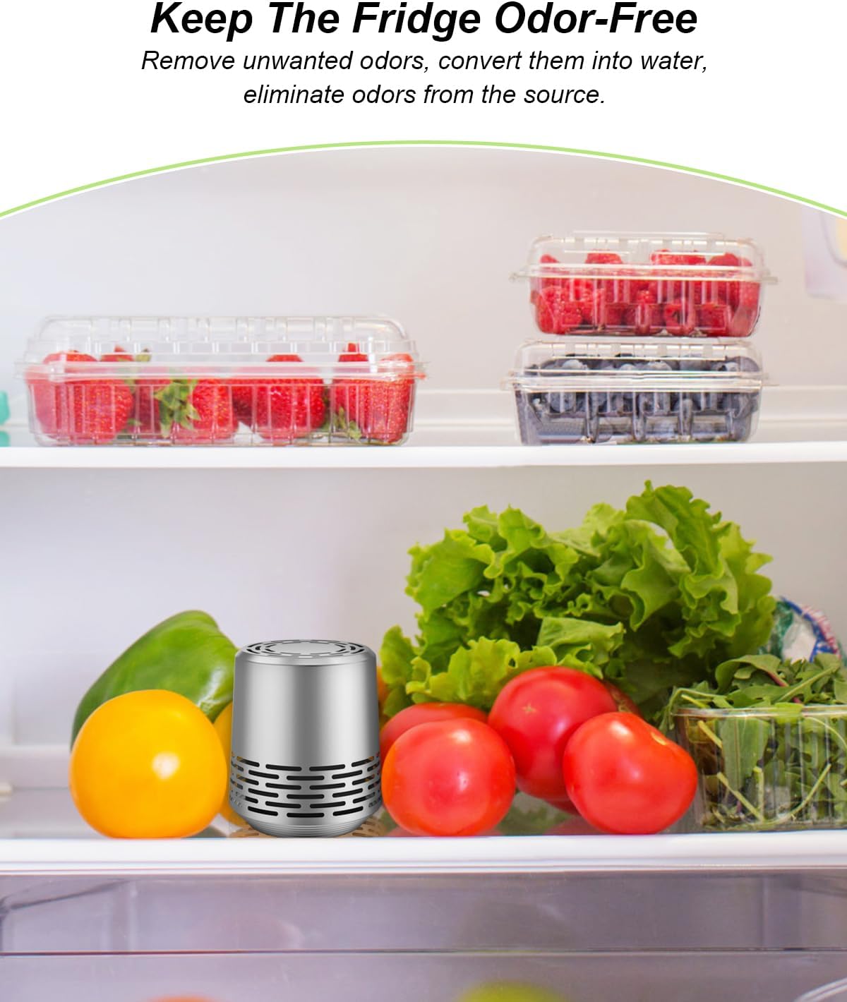 Refrigerator Deodorizer 2-Pack Silver L19504