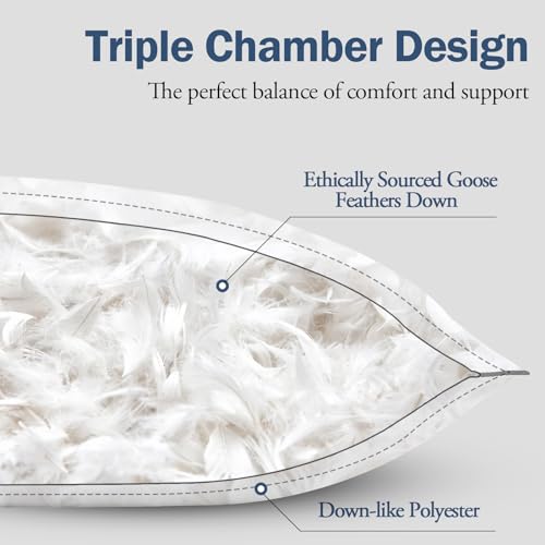 Medium Firm Goose Down king size pillows set of 2, 1000TC Organic Cotton Cover, Polyester 20"x36" U753