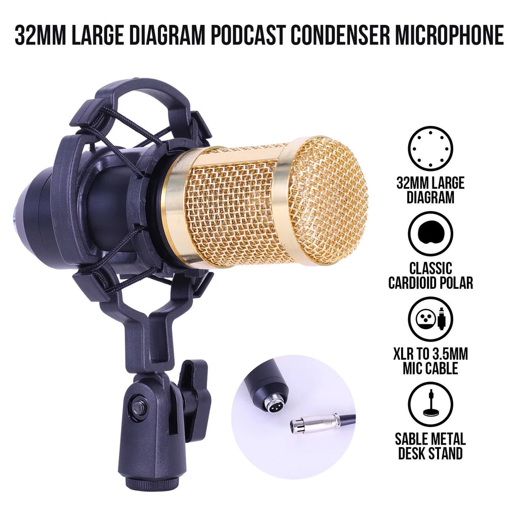Condenser Microphone Bundle with Voice Changer L6060