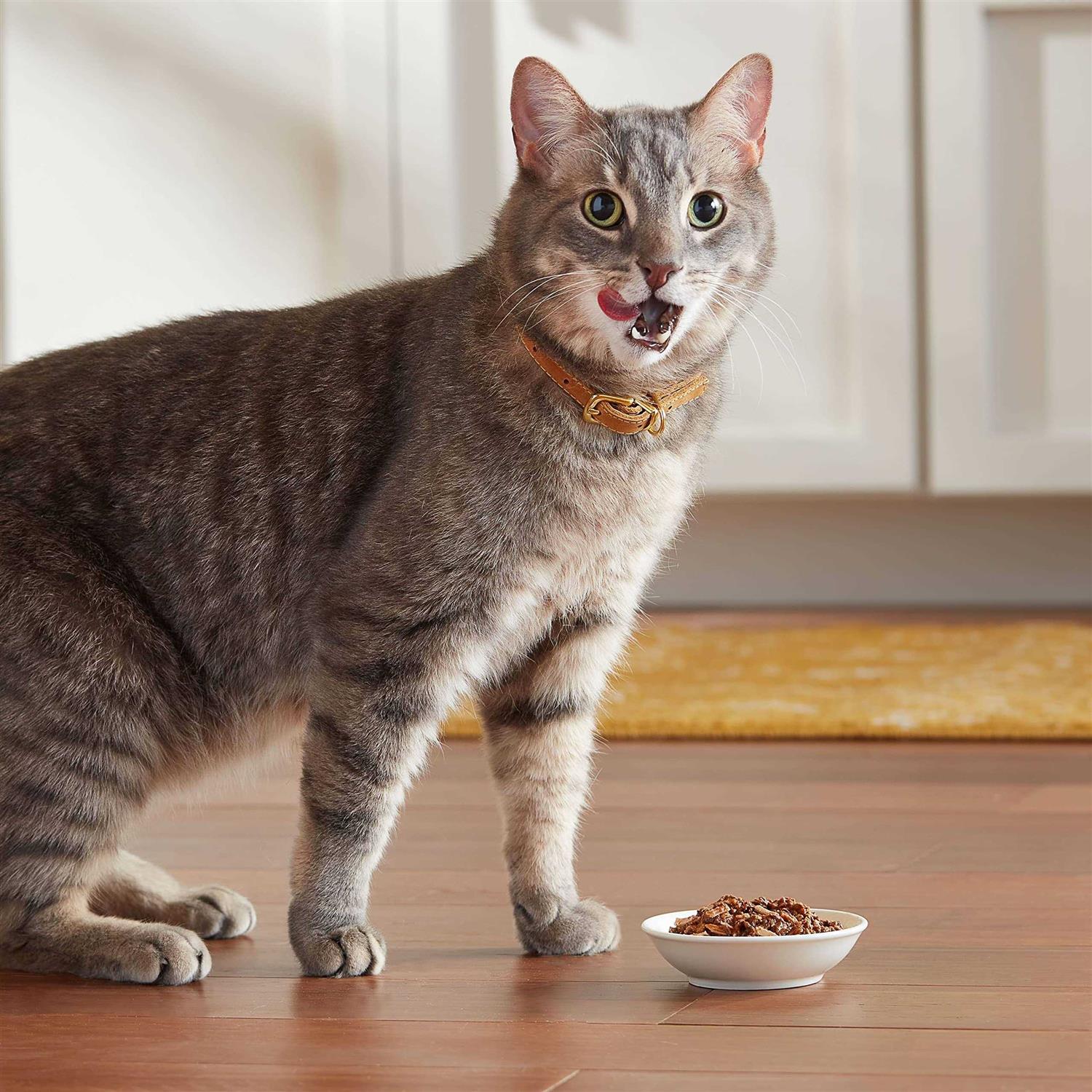 Wet Cat Food H8986