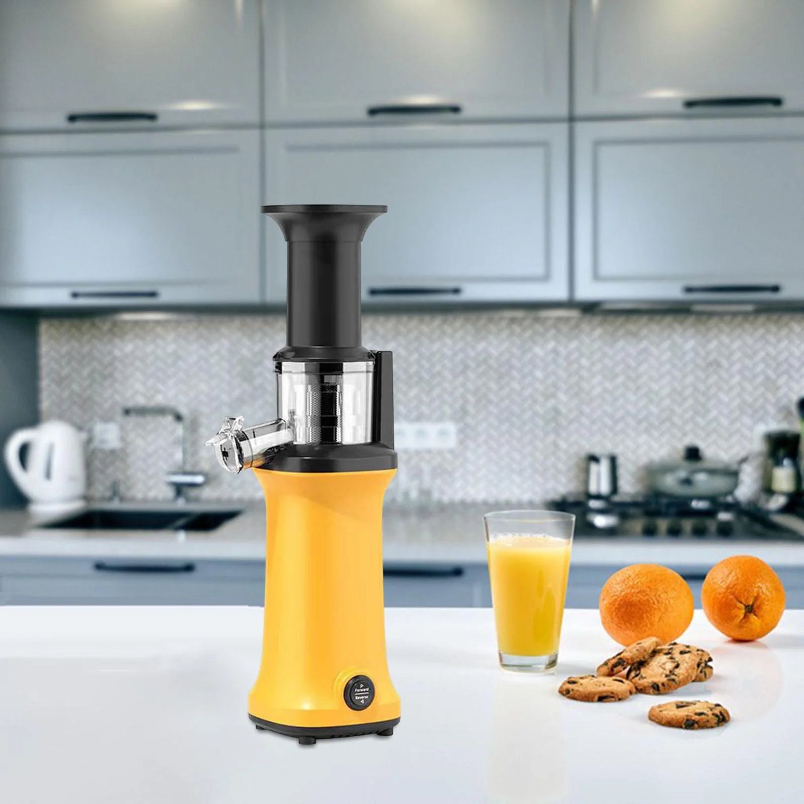 Masticating Juicer 120W Juicer Machine M131419