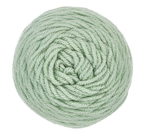 Red Heart Super Saver Yarn F8229
