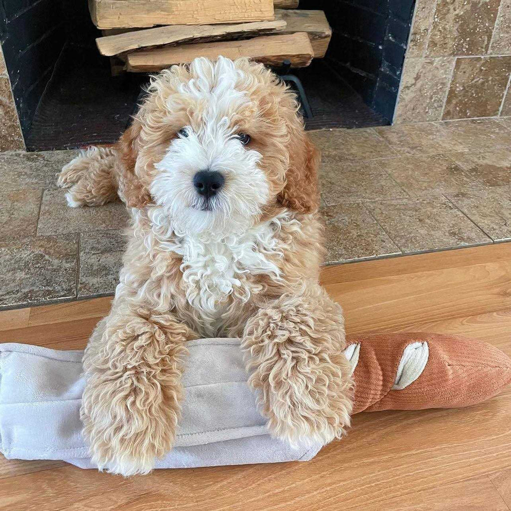 Baguette Enrichment Dog Toy B7320