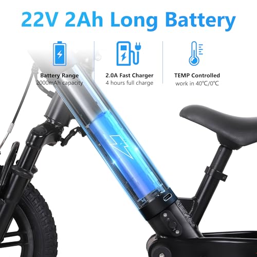 Electric Bike for Kids, 100W Electric Balance Bike, 12 inch Inflatable Tire V308554