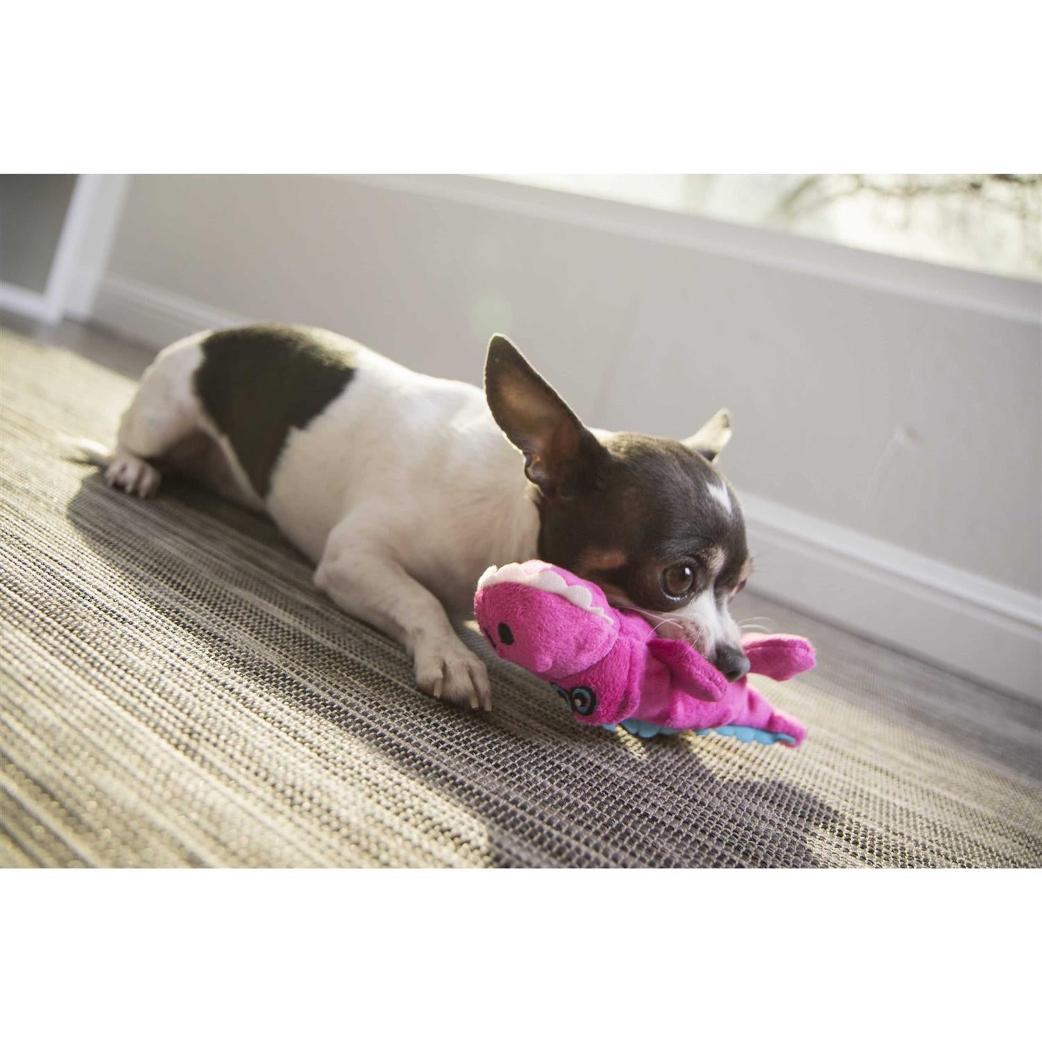 Chew Guard Dog Toy H8401