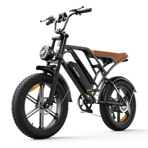 20" Fat Tire Electric Bike C8767