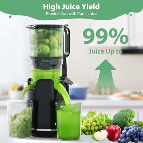 Black Cold Press Juicer with Extra Large Feed Chute D218571