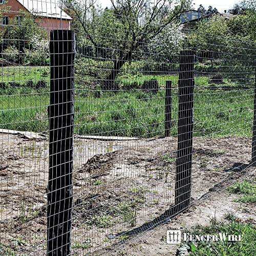 14 Gauge Galvanized Welded Wire Mesh 2 inch by 4 inch W105475