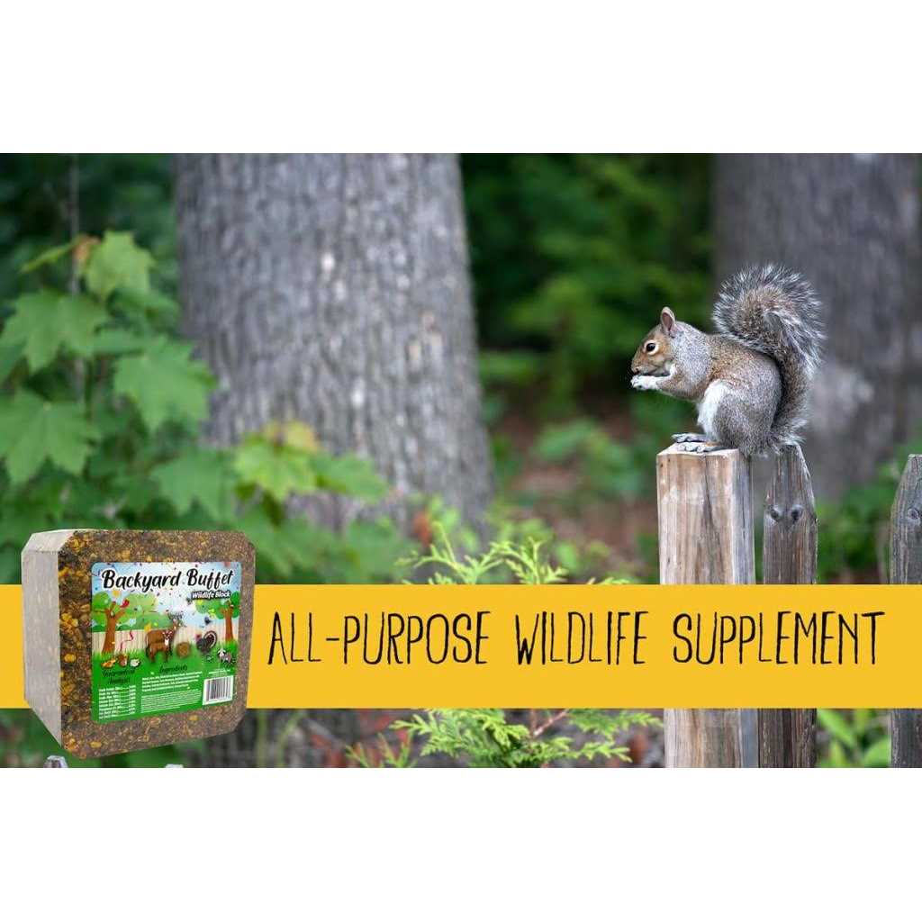 Backyard Buffet Wildlife Treat C7402