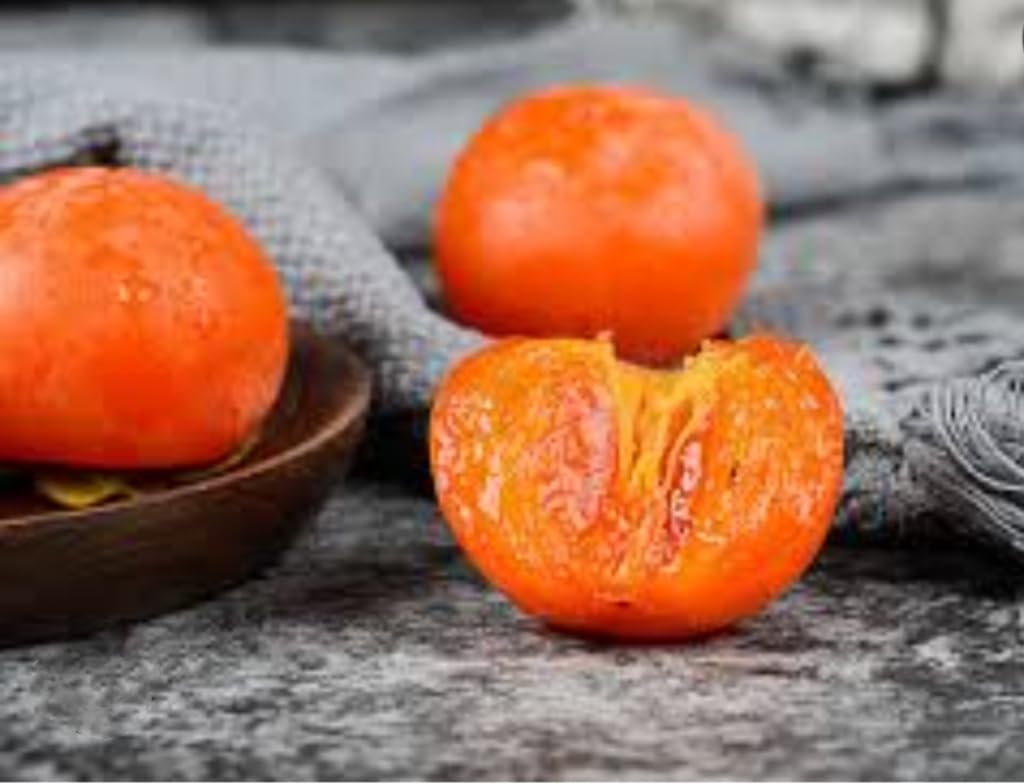 120 Seed Japanese Persimmon Seeds for Planting Y70444