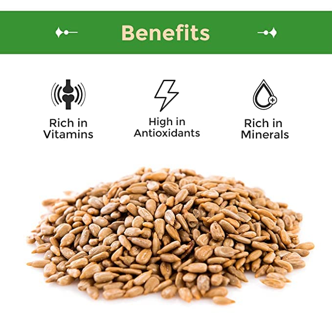 Sunflower Seed Kernels Raw No Shell 1lb bag F362932