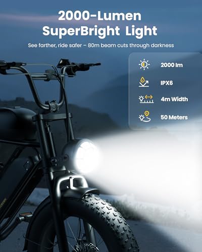 20" Fat Tire Electric Bike C8767