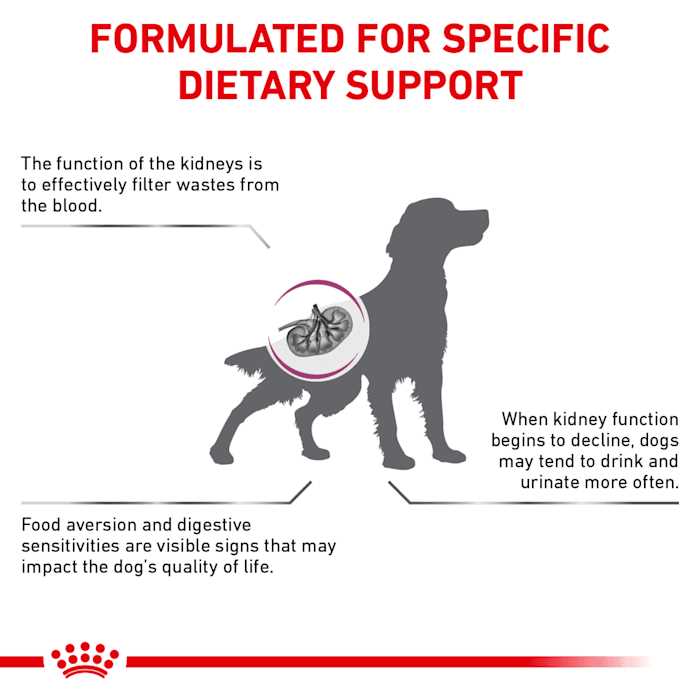 Veterinary Diet Renal Support Dry Dog Food L4711