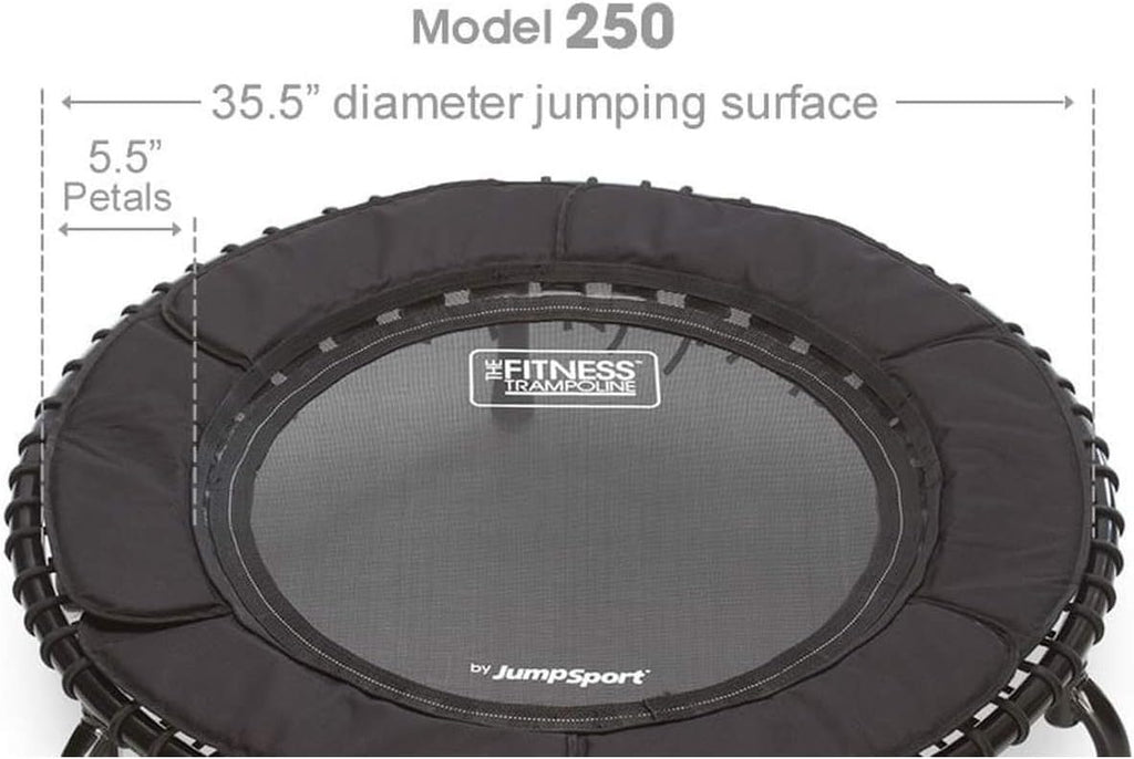 Mini Trampoline with Handle Bar M854316
