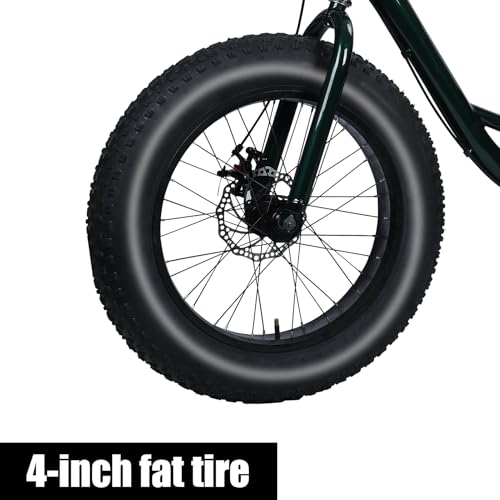20" x 4.0 Fat Snow Tires 7 Speed Tricycle with Double Disc Brake J196755