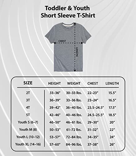 Toddler & Youth Short Sleeve Graphic T-Shirt T47113