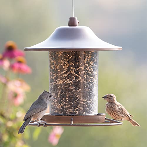 2 Lb Seed Capacity Wild Bird Feeder R715