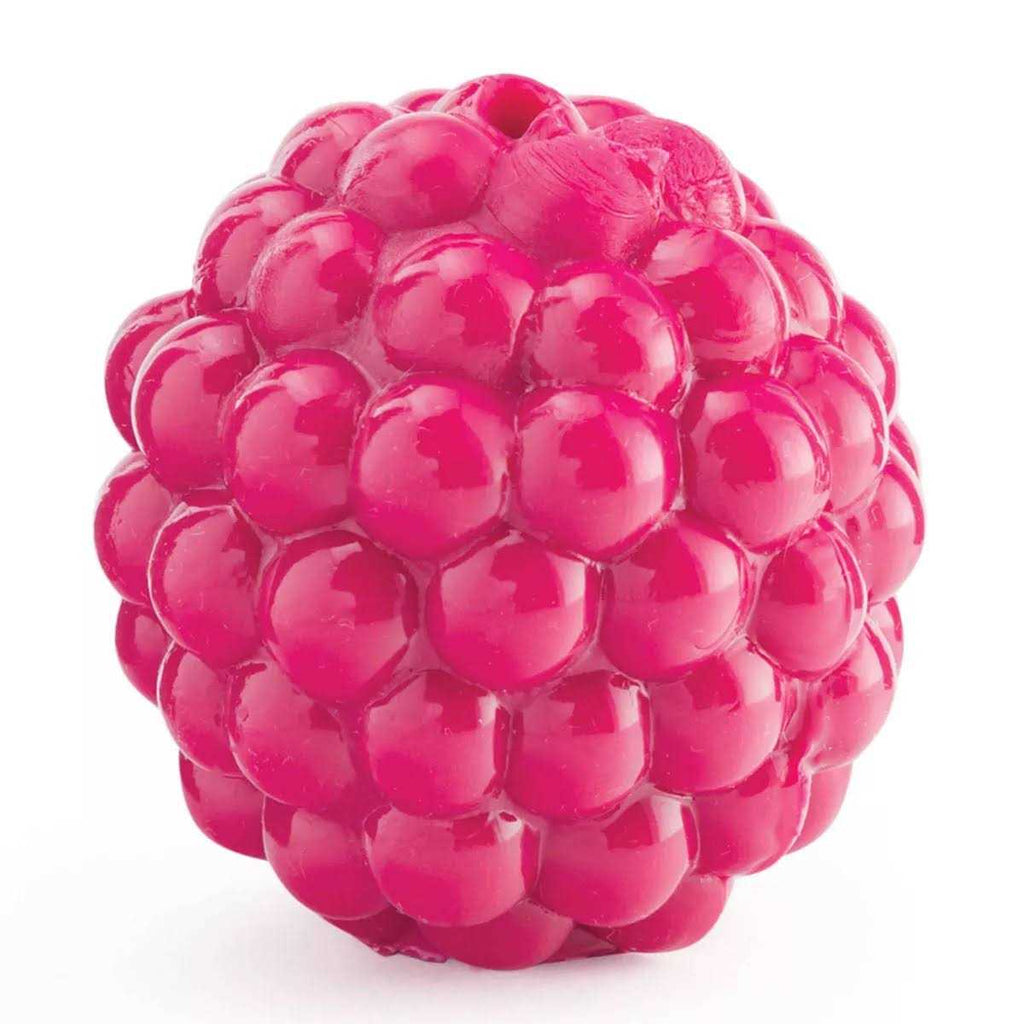 Dog Toy C31607
