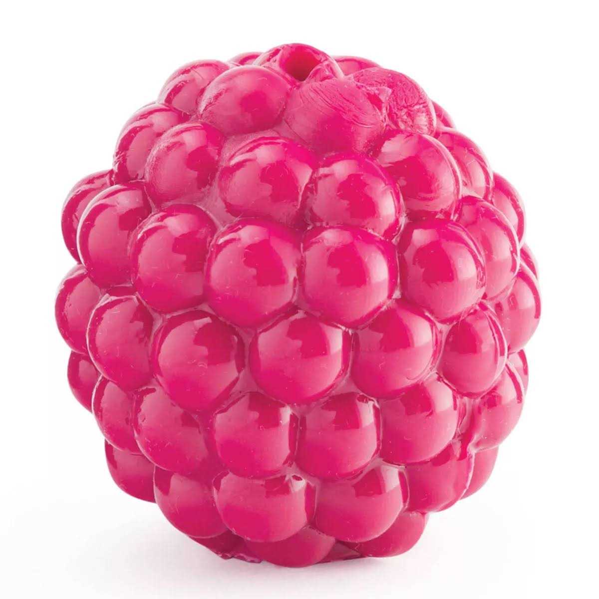 Dog Toy C31607
