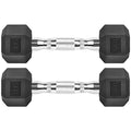 Rubber Coated Cast Iron Hex Dumbbell Free Weights P90955