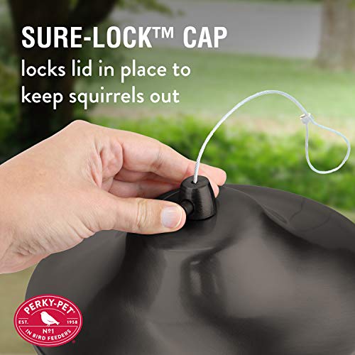 2 Lb Seed Capacity Wild Bird Feeder R715