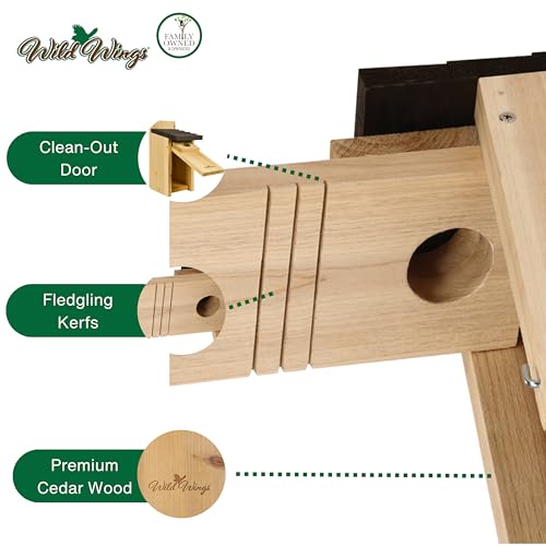 Cedar Blue Bird Box House B96982