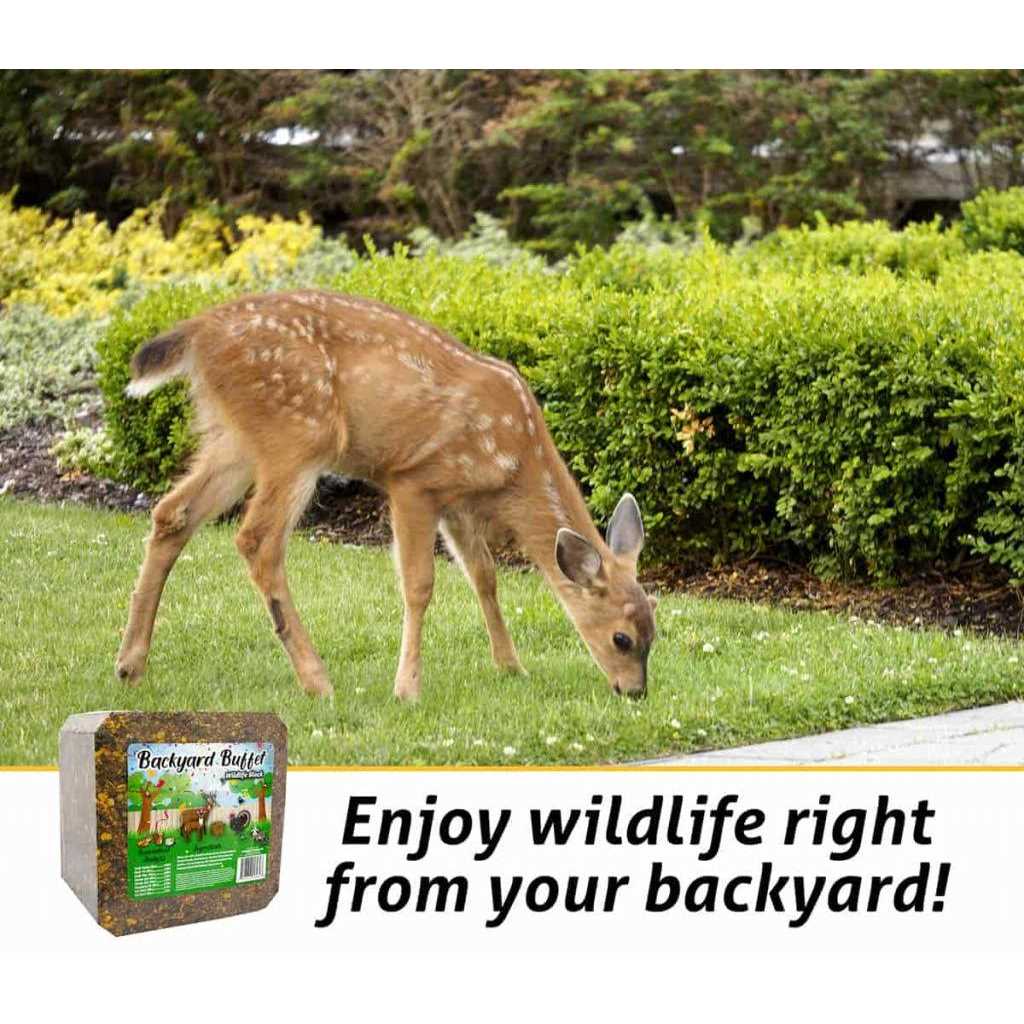 Backyard Buffet Wildlife Treat C7402