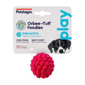 Dog Toy C31607