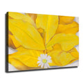 08x12inch Unframed Canvas Wall Art G527774