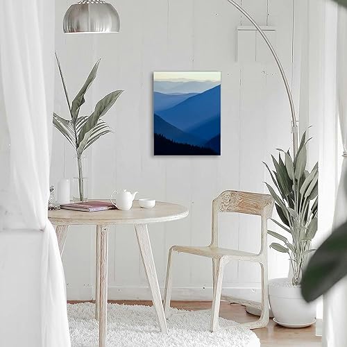 16"x20" Framed Canvas Wall Art W165