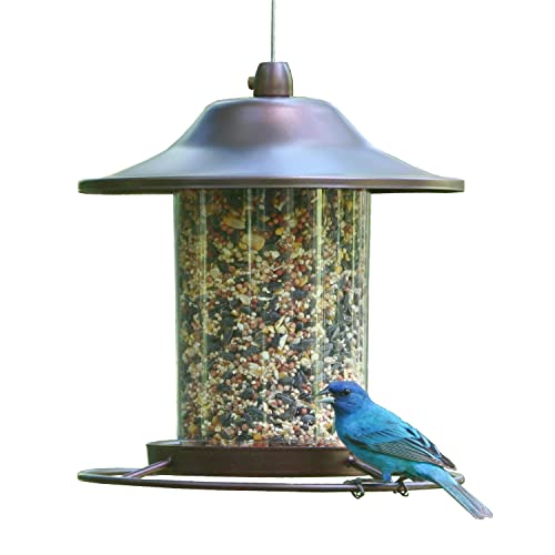 2 Lb Seed Capacity Wild Bird Feeder R715