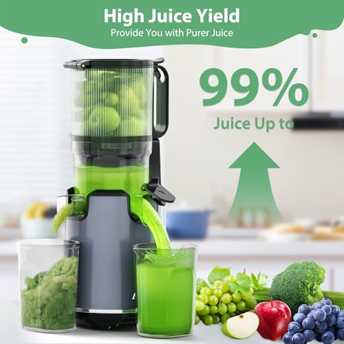 Black Cold Press Juicer with Extra Large Feed Chute D218571