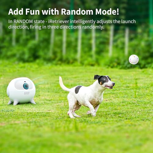 Automatic Obstacle Avoidance Dog Ball Launcher with 4Pcs Balls K4001