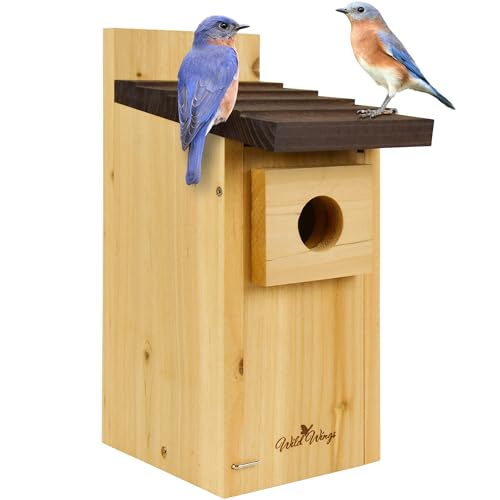 Cedar Blue Bird Box House B96982