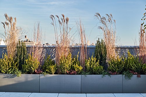 Rectangle Fiberglass Planter Box, Grey, 36" x 12" x 12" D353287