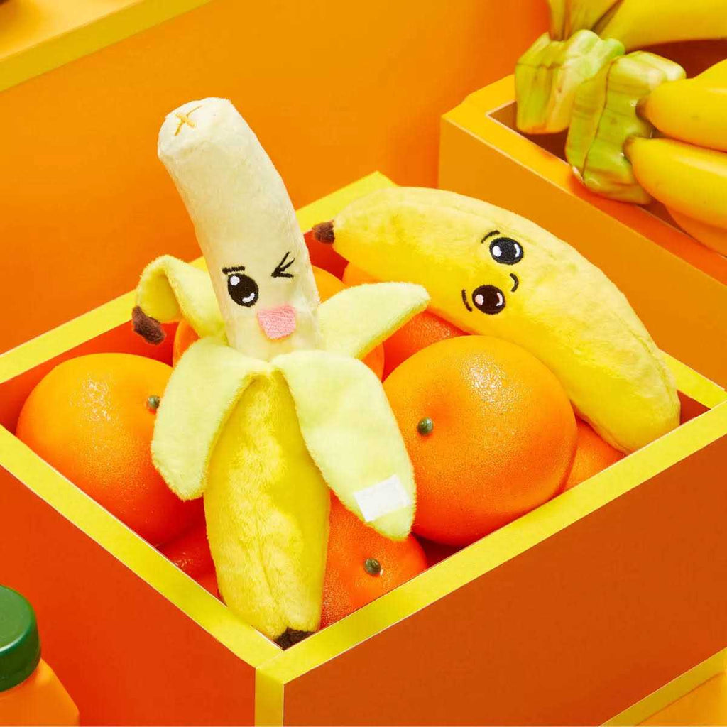 Dog Toy B356