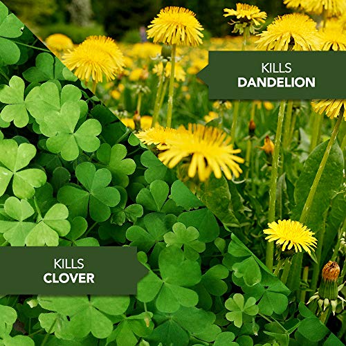 32 oz Weed Killer Concentrate A94437