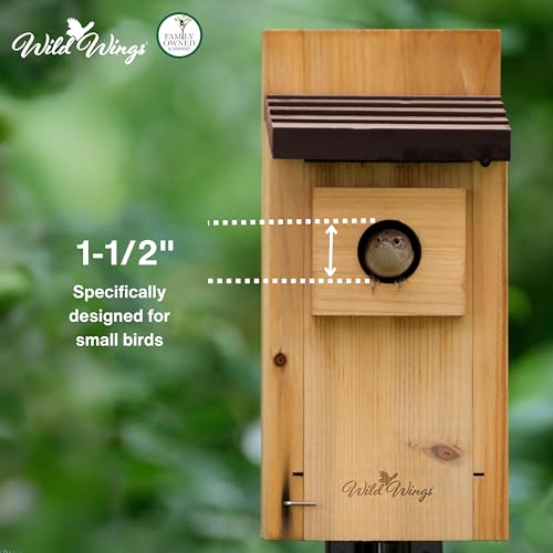 Cedar Blue Bird Box House B96982