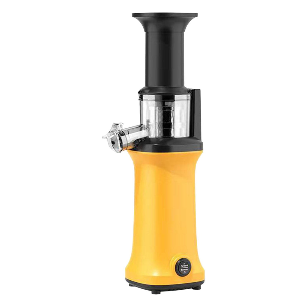 Masticating Juicer 120W Juicer Machine M131419